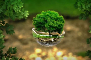 ¿Qué es el ecodiseño y cómo se desarrolla en España?