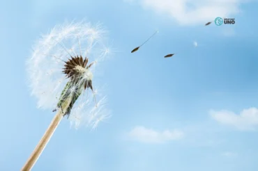 Qué son las Energías renovables y qué lugar ocupa España