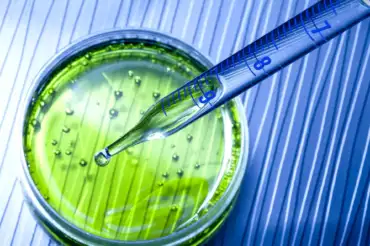 España y la bioeconomía