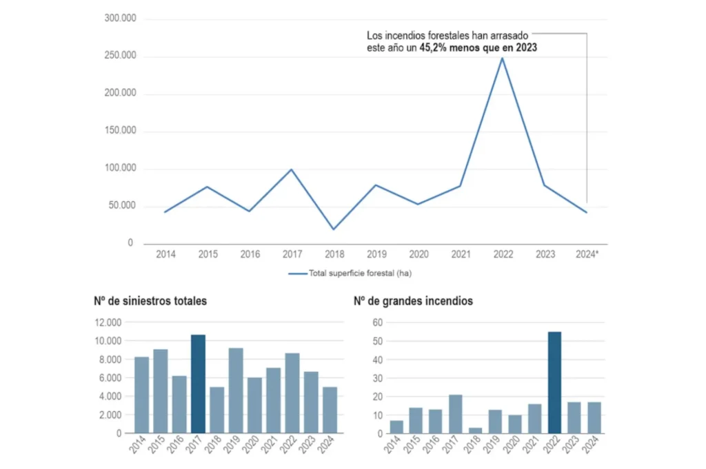 Menos incendios forestales en 2024 y el agosto más cálido de la historia Sostenibilidad - Solo Hay Uno Reducción de la superficie arrasada en incendios forestales en 2024