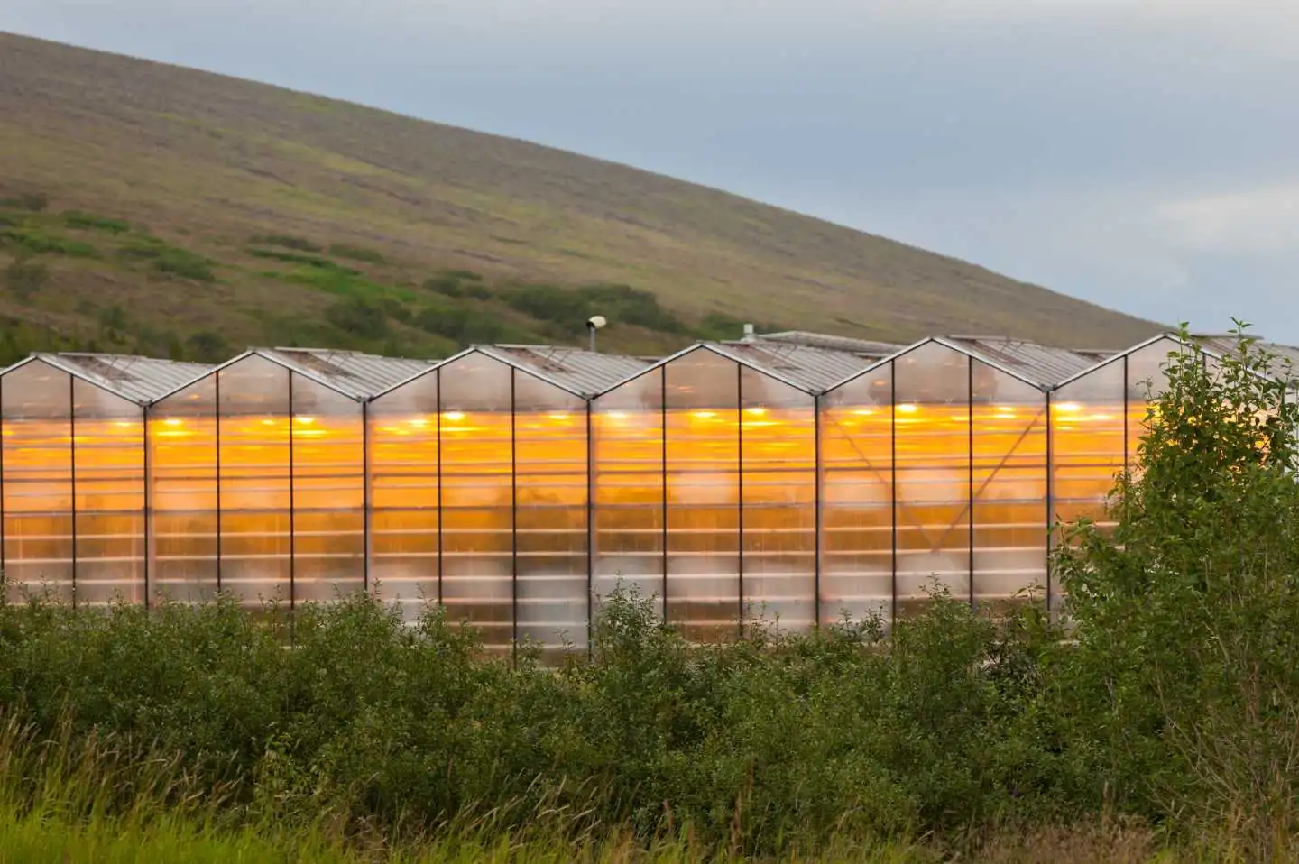 Invernaderos Geotérmicos, energía renovable para producción sostenible y eficiente