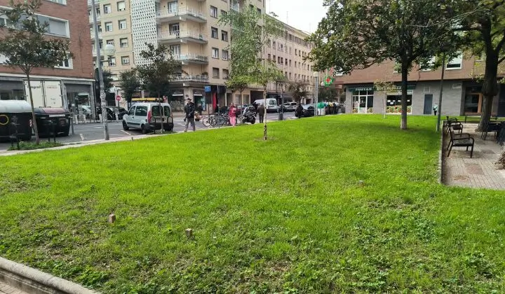 Bosque comestible urbano en España