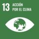 ODS 13 acción por el clima