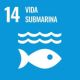 Día Mundial de los Océanos 2025 Sostenibilidad - Solo Hay Uno ODS 14 vida submarina