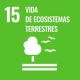 Cajamar promueve la reforestación de 28 hectáreas en el Parque Natural Sierra María-Los Vélez Sostenibilidad - Solo Hay Uno ODS 15 vida de ecosistemas terrestres