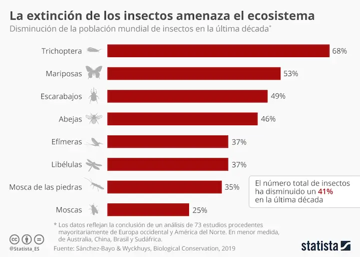 5 actividades para hacer con niños en el Día Mundial del Medio Ambiente 2025 Sostenibilidad - Solo Hay Uno La extinción de insectos amenaza el ecosistema.