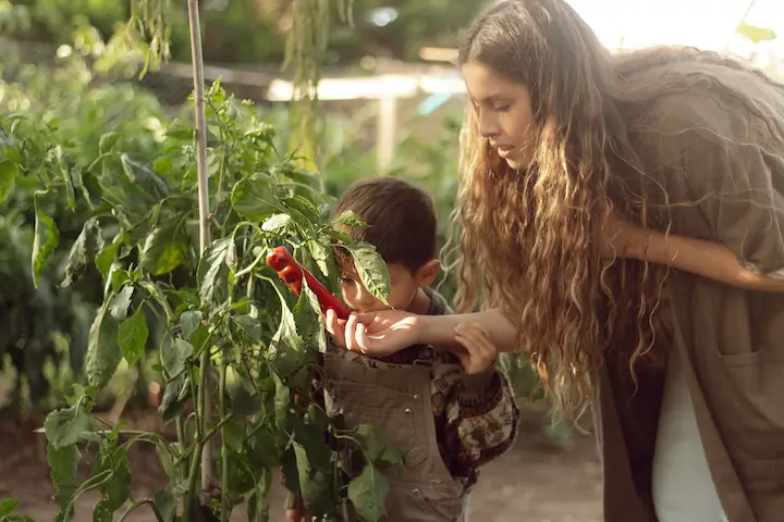 5 actividades para hacer con niños en el Día Mundial del Medio Ambiente 2025 Sostenibilidad - Solo Hay Uno Los niños pueden aprender mucho sobre el Día Mundial del Medio Ambiente 2025 al cultivar su huerto urbano