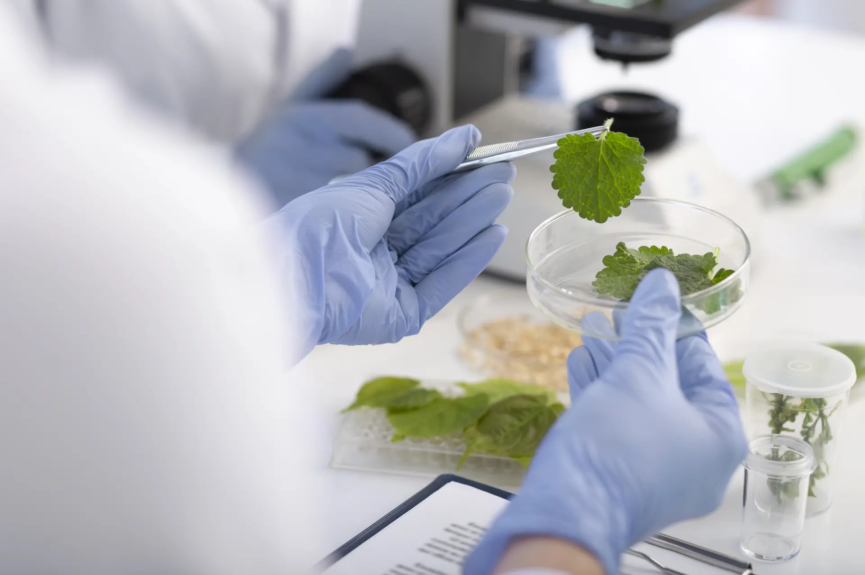 La biotecnología es una herramienta esencial para alcanzar una alimentación sostenible