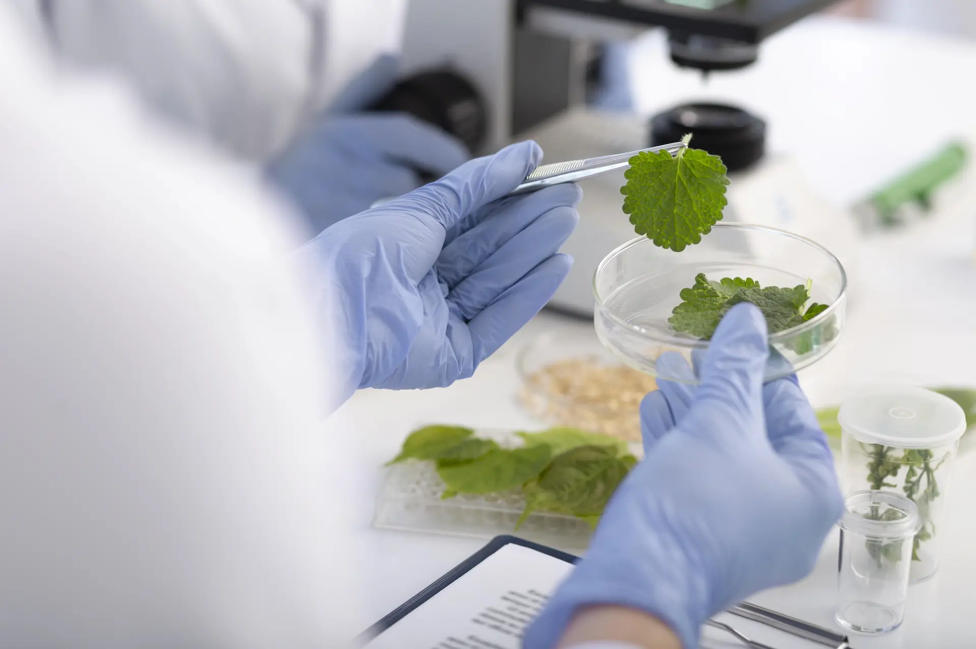 La biotecnología es una herramienta esencial para alcanzar una alimentación sostenible