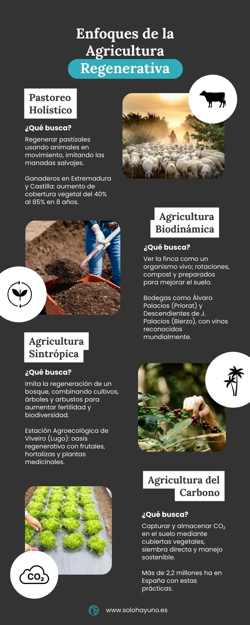 ¿Por qué la agricultura regenerativa es mucho más que una moda sostenible? Sostenibilidad - Solo Hay Uno Enfoque de la agricultura regenerativa infografía Solo Hay Uno