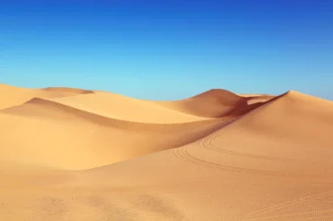 agricultura regenerativa en zonas áridas
