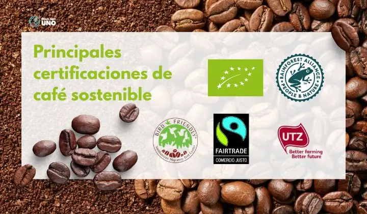 ¿Cuál es el impacto ambiental de una taza de café? Sostenibilidad - Solo Hay Uno ¿Cuál es el impacto ambiental de una taza de café - Principales certificaciones de cafés sostenibles
