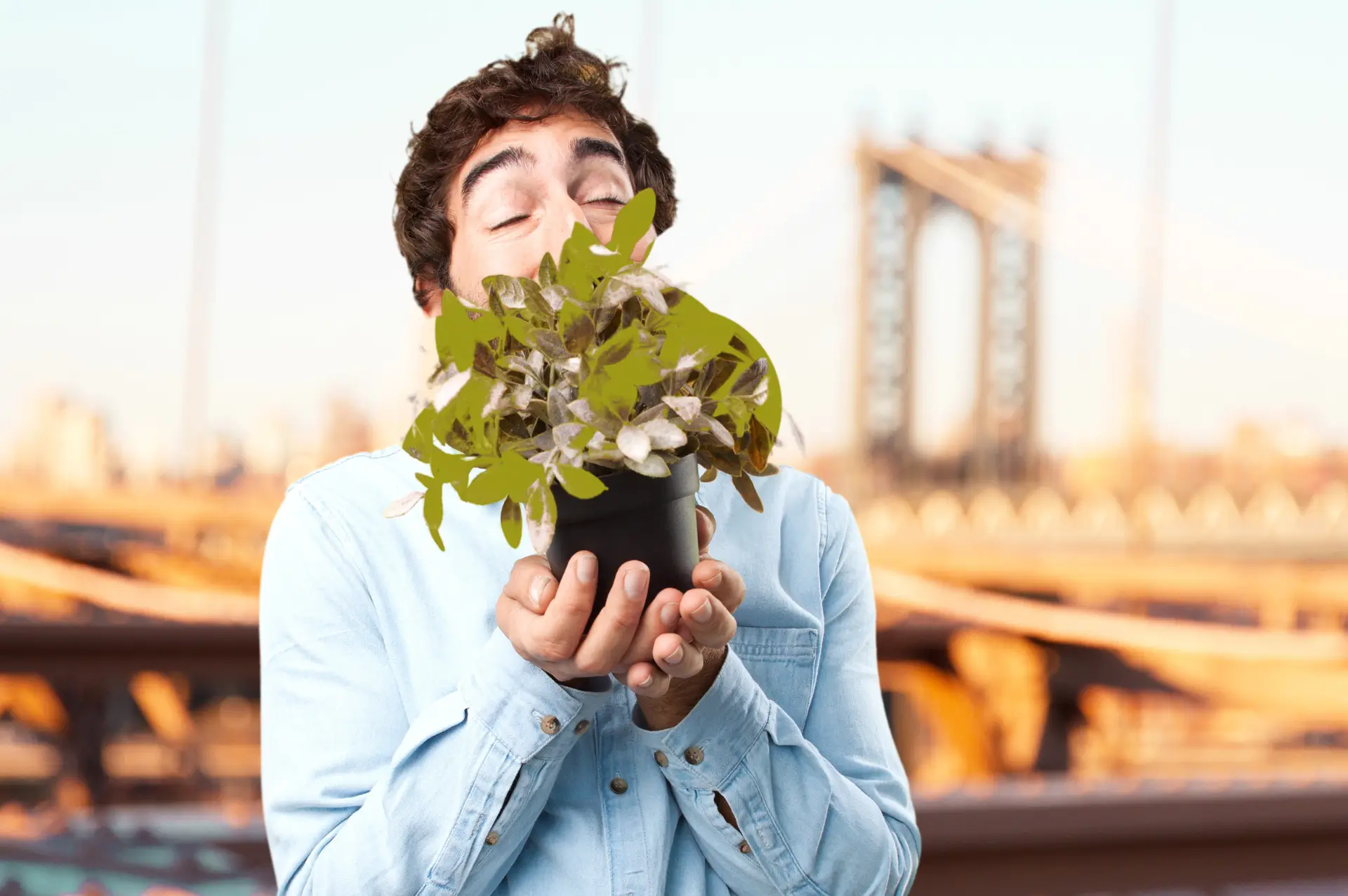 Fomentar la biodiversidad en las zonas urbanas es bueno para el ecosistema, pero también para nosotros mismos.