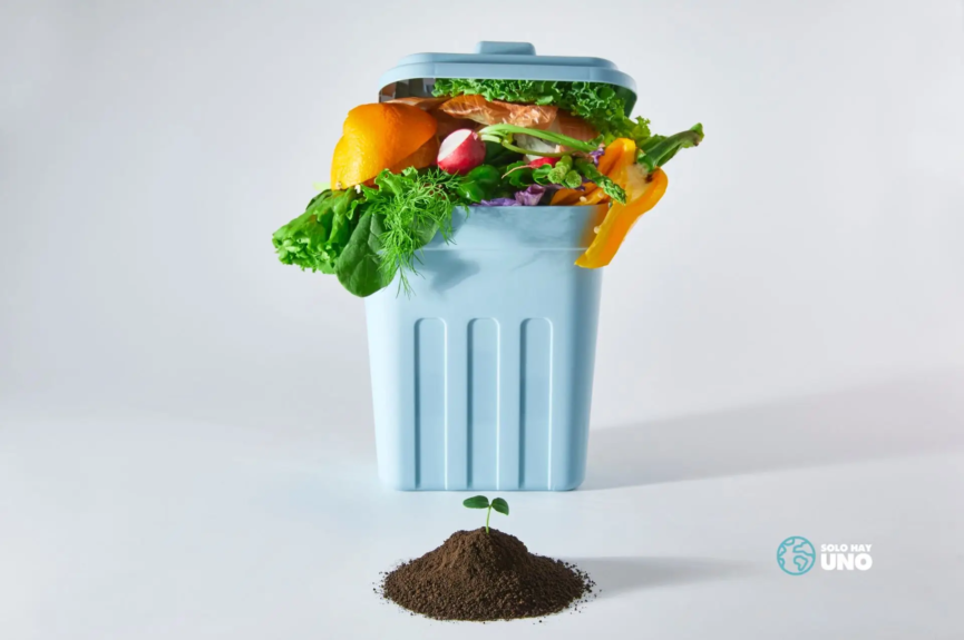 Generación de residuos, cómo nos afecta