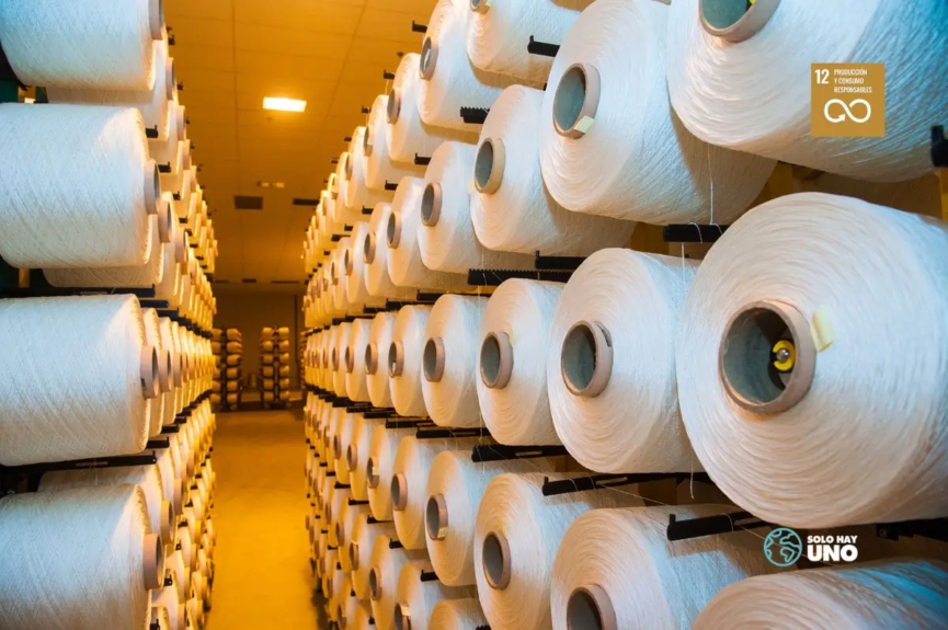 ODS 12 producción y consumo responsable