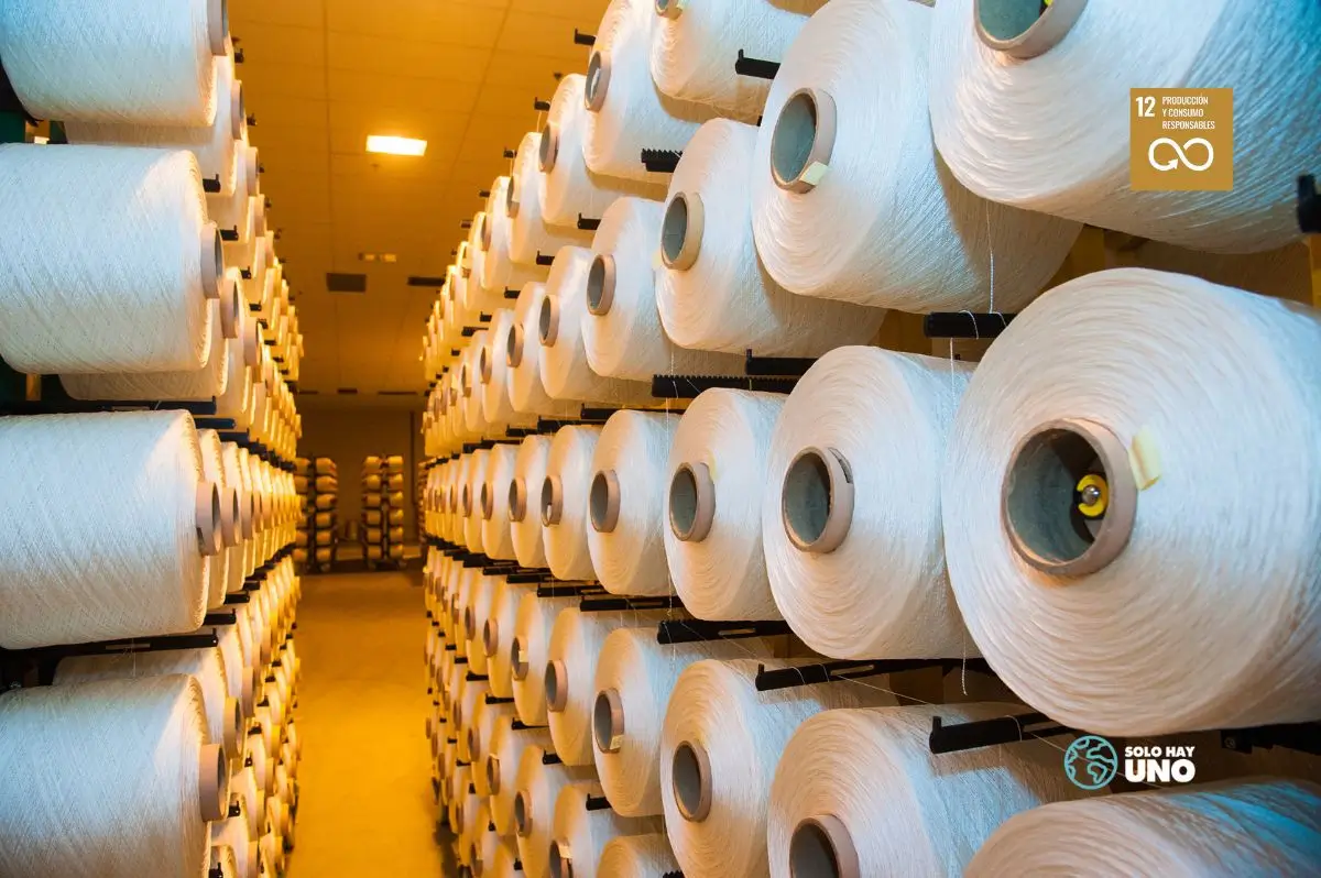 ODS 12 producción y consumo responsable