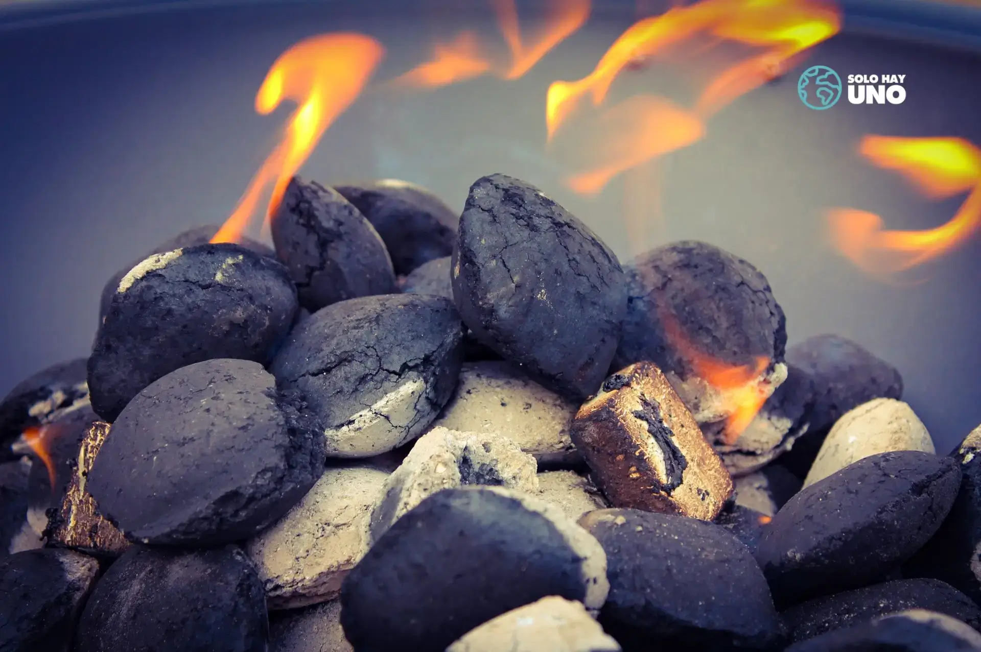 Los combustibles fósiles y la transición energética