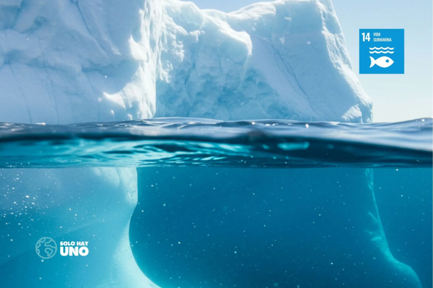 ODS 14 vida Submarina