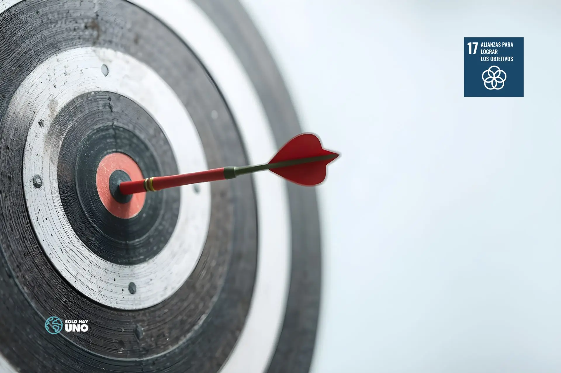 ODS 17 alianzas para lograr los objetivos