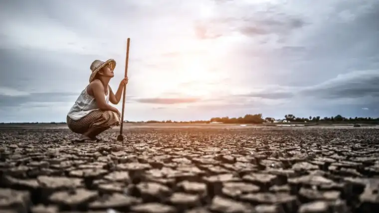 En el Acuerdo de París se establecieron directrices para evitar las consecuencias del cambio climático