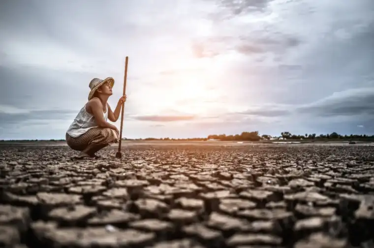 En el Acuerdo de París se establecieron directrices para evitar las consecuencias del cambio climático