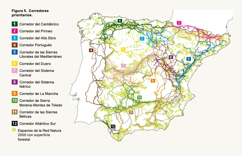 ¿Qué son los corredores verdes? y por qué los necesitamos Sostenibilidad - Solo Hay Uno Autopistas salvajes propuesta para una red estratégica de corredores ecológicos en España - Corredores ecológicos prioritarios WWF