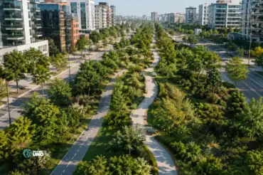 Qué son los corredores verdes y por qué son necesarios para todos