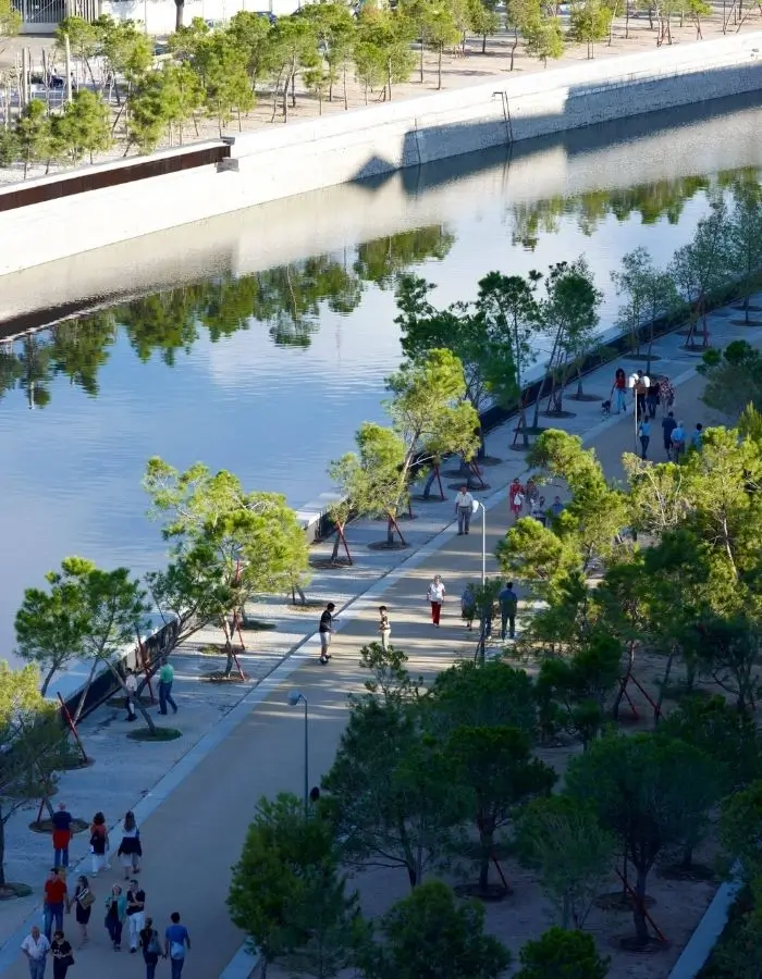 ¿Qué son los corredores verdes? y por qué los necesitamos Sostenibilidad - Solo Hay Uno Proyecto Corredor Verde de Madrid Rio