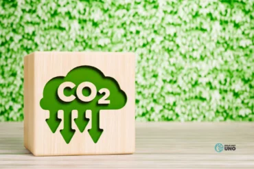 Imagen representativa sobre qué es el CO2 biogénico