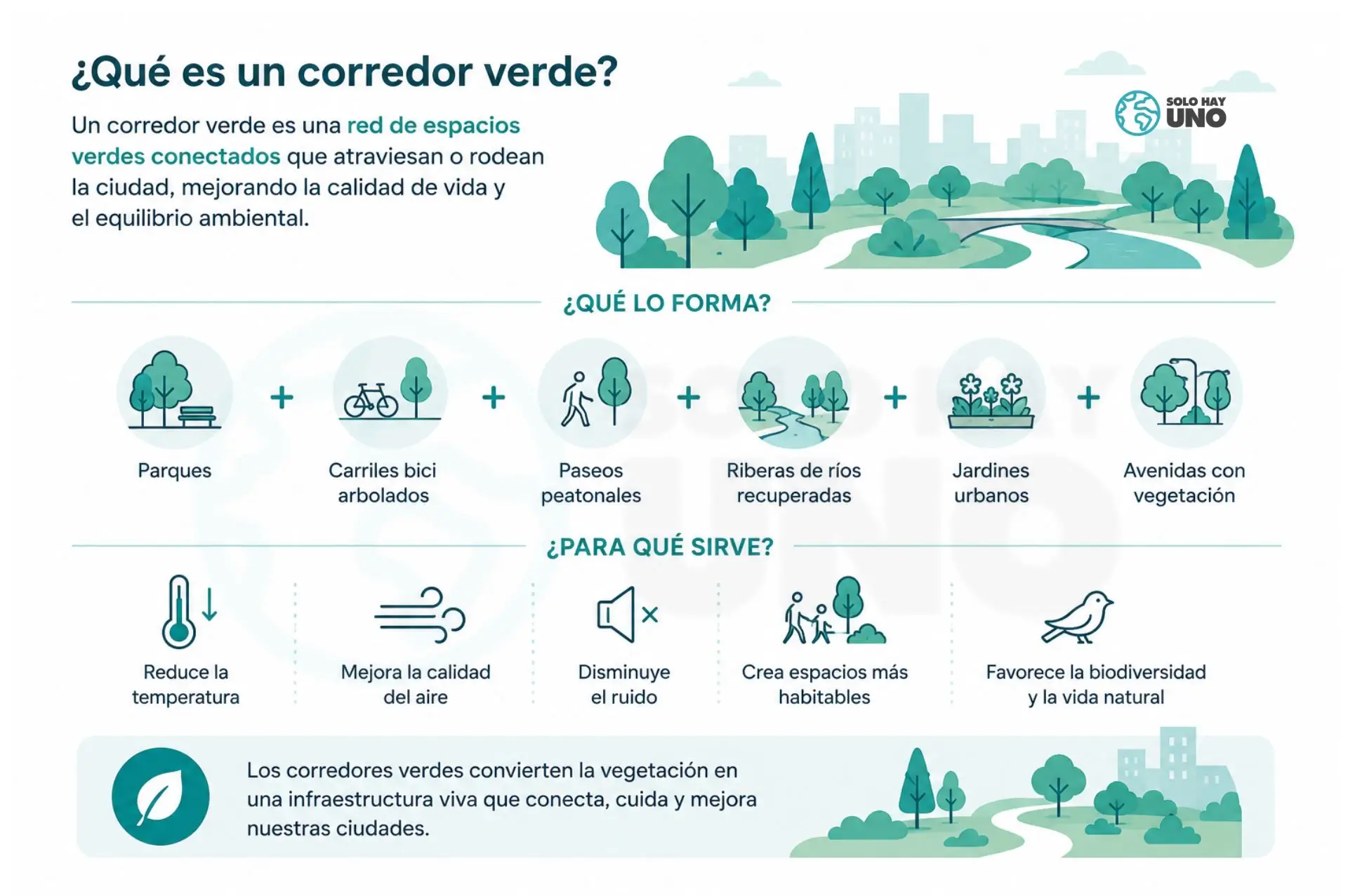 ¿Qué son los corredores verdes? y por qué los necesitamos Sostenibilidad - Solo Hay Uno infografía sencilla para explicar de forma visual qué son los corredores verdes