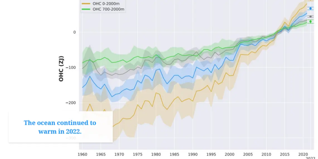 De las medusas a la cerveza, así está cambiando el cambio climático los veranos más allá del calor Sostenibilidad - Solo Hay Uno Los efectos del cambio climático sobre el verano también se ven en la temperatura de los océanos