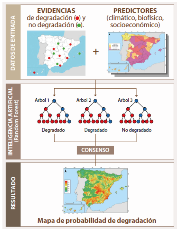 Un mapa para entender un problema: la desertificación Sostenibilidad - Solo Hay Uno Flujo de trabajo de la metodología