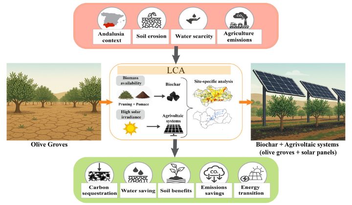 Biochar, ¿qué es y cómo convierte residuos en carbono estable? Sostenibilidad - Solo Hay Uno captura de co2 con el biochar
