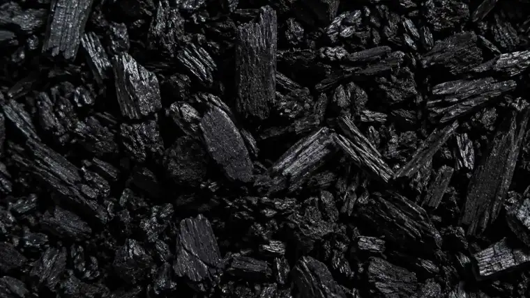 qué es el biochar y cómo se produce