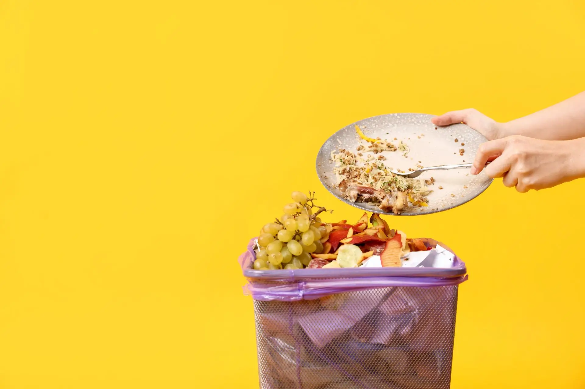 Desperdicio alimentario en España - Cubo de basura con alimentos mientras se desecha plato sin terminar de comer