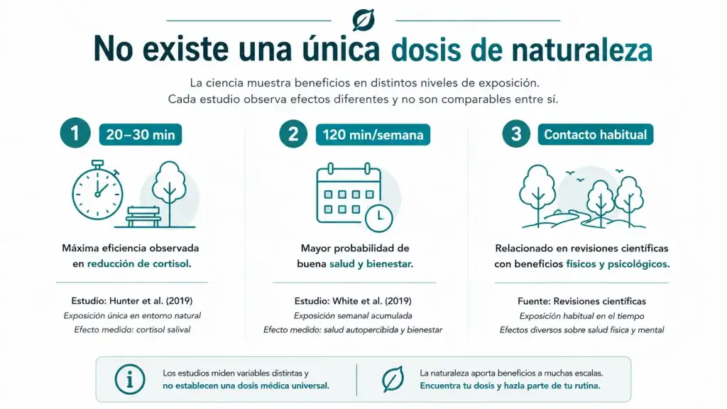 No existe una única dosis de vitamina N