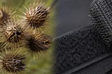 qué es la biomimética y cómo la naturaleza inspira a la tecnología