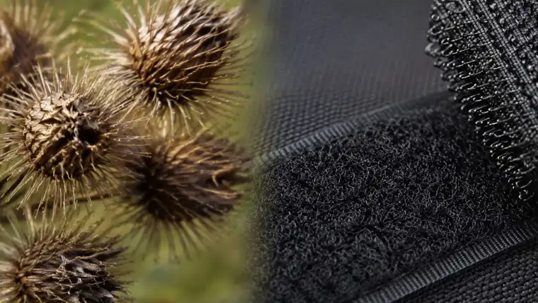 qué es la biomimética y cómo la naturaleza inspira a la tecnología