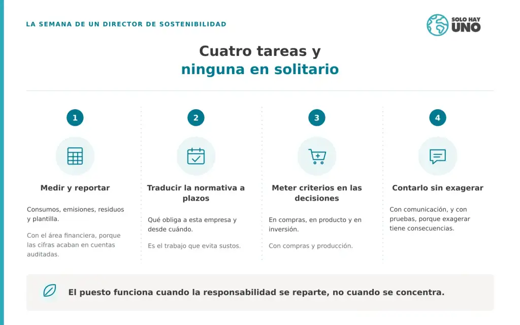 Director de Sostenibilidad (CSO) ¿sabes si tu empresa necesita uno? Sostenibilidad - Solo Hay Uno Las 4 Tareas más importantes del director de sostenibilidad