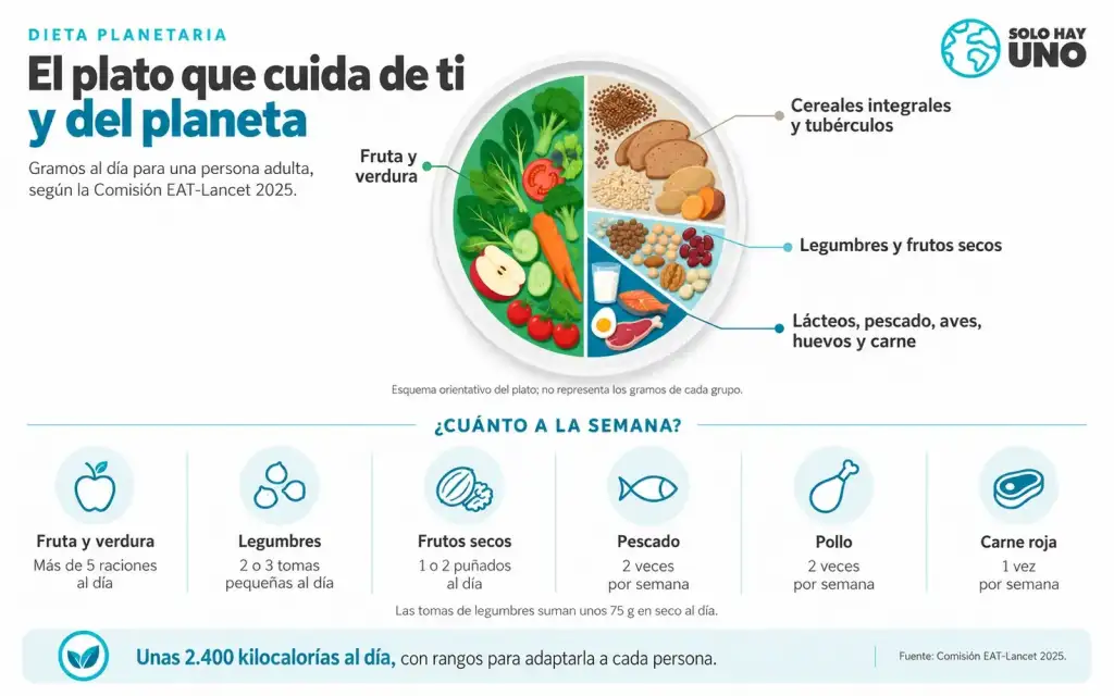 Dieta planetaria ¿qué es y cuánta proteína lleva de verdad? Sostenibilidad - Solo Hay Uno Esquema sobre un plato de la dieta planetaria, gráfico con la cantidad por tipo de alimento que recomienda la dieta planetaria